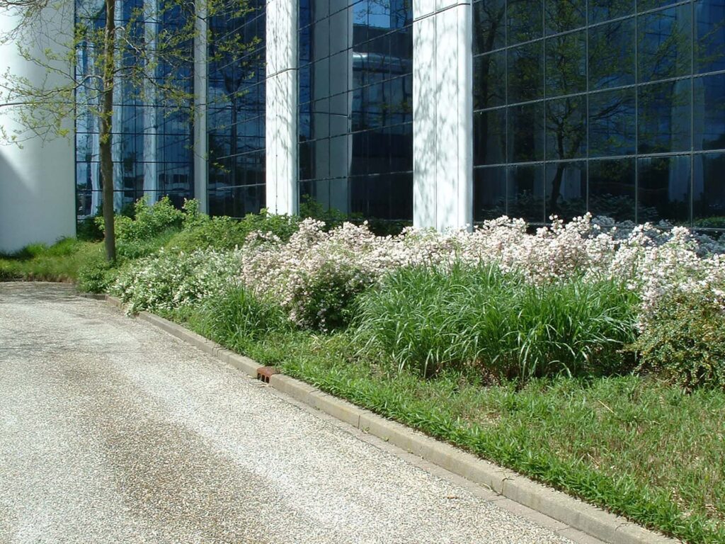 Terreinontwerp DSM Zwolle