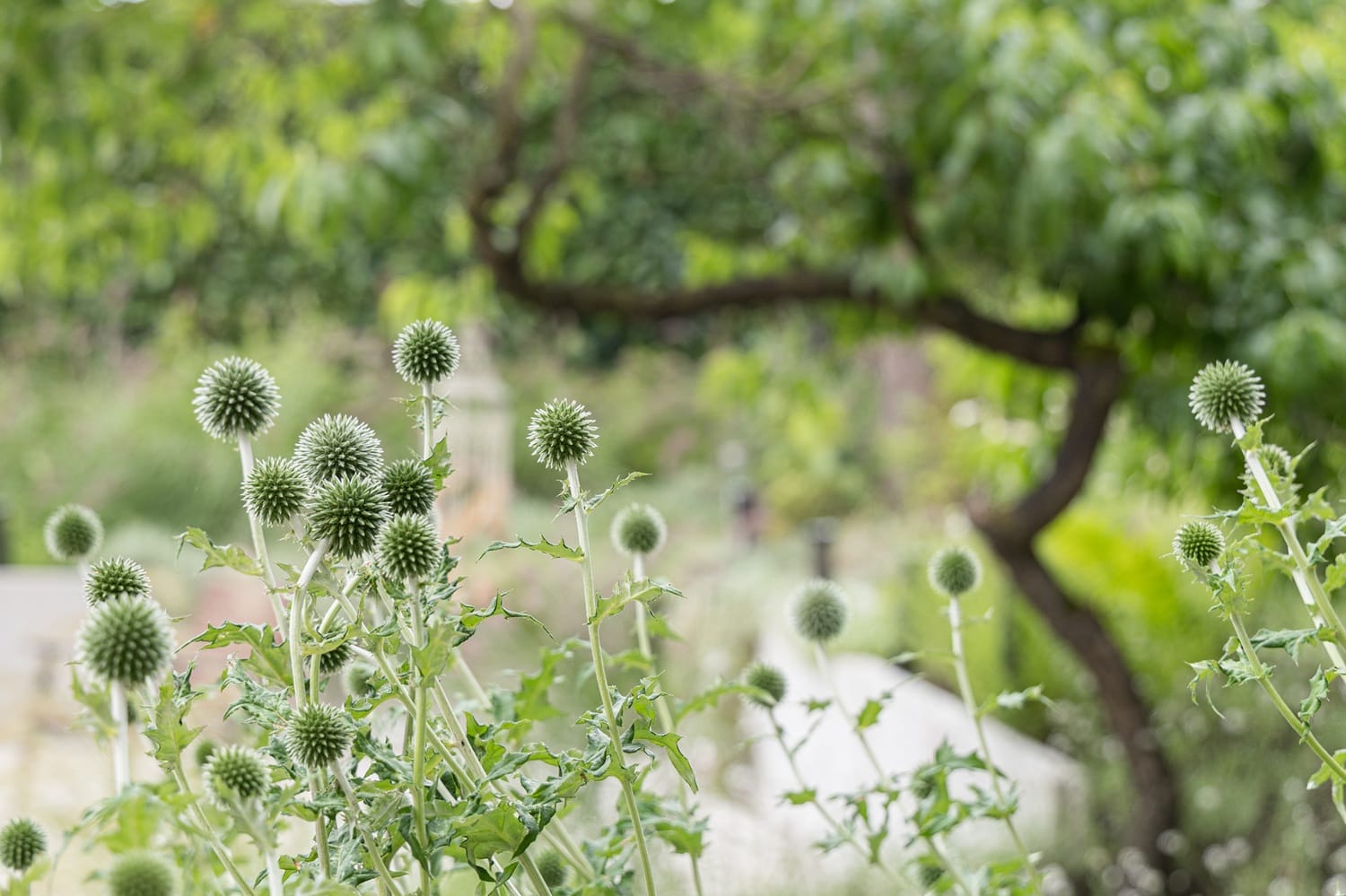 Tuinarchitect Putten Tuinarchitect Putten