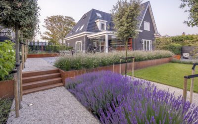 Beste Prijsgarantie tuinaanleg