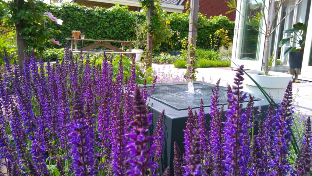 Bloemrijke tuin