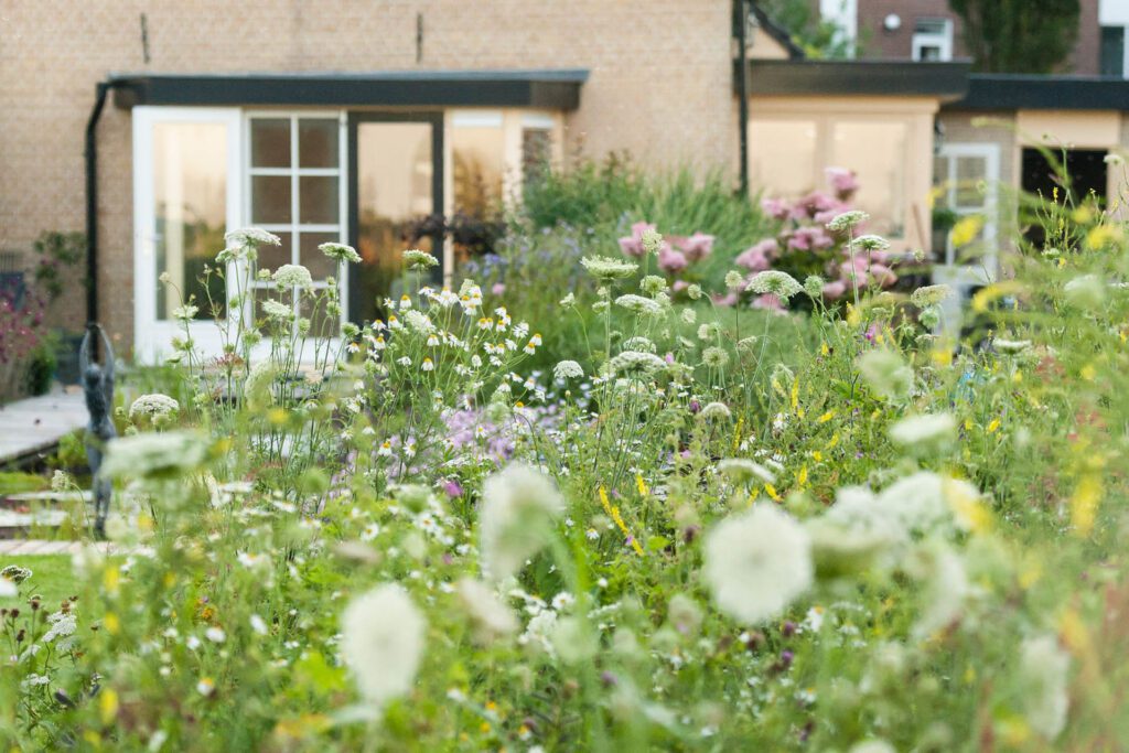 wat kost een nieuwe tuin?