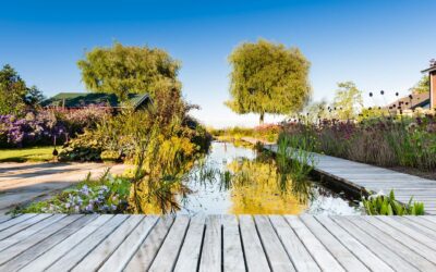 Wat kost een nieuwe tuin?