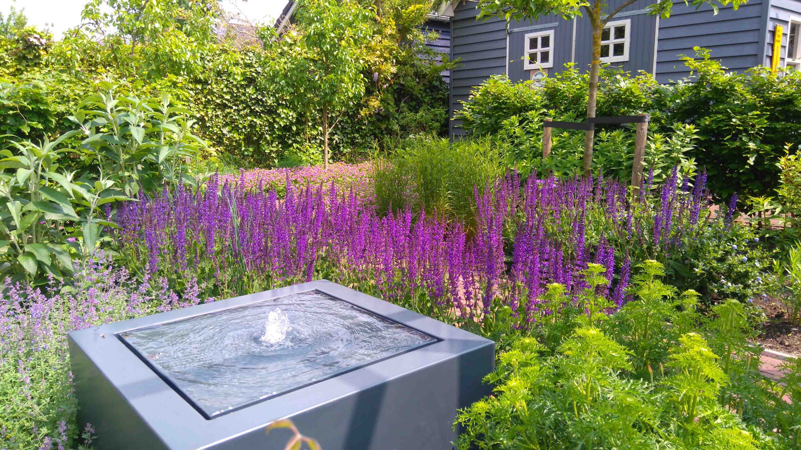Tuinontwerp Hardenberg