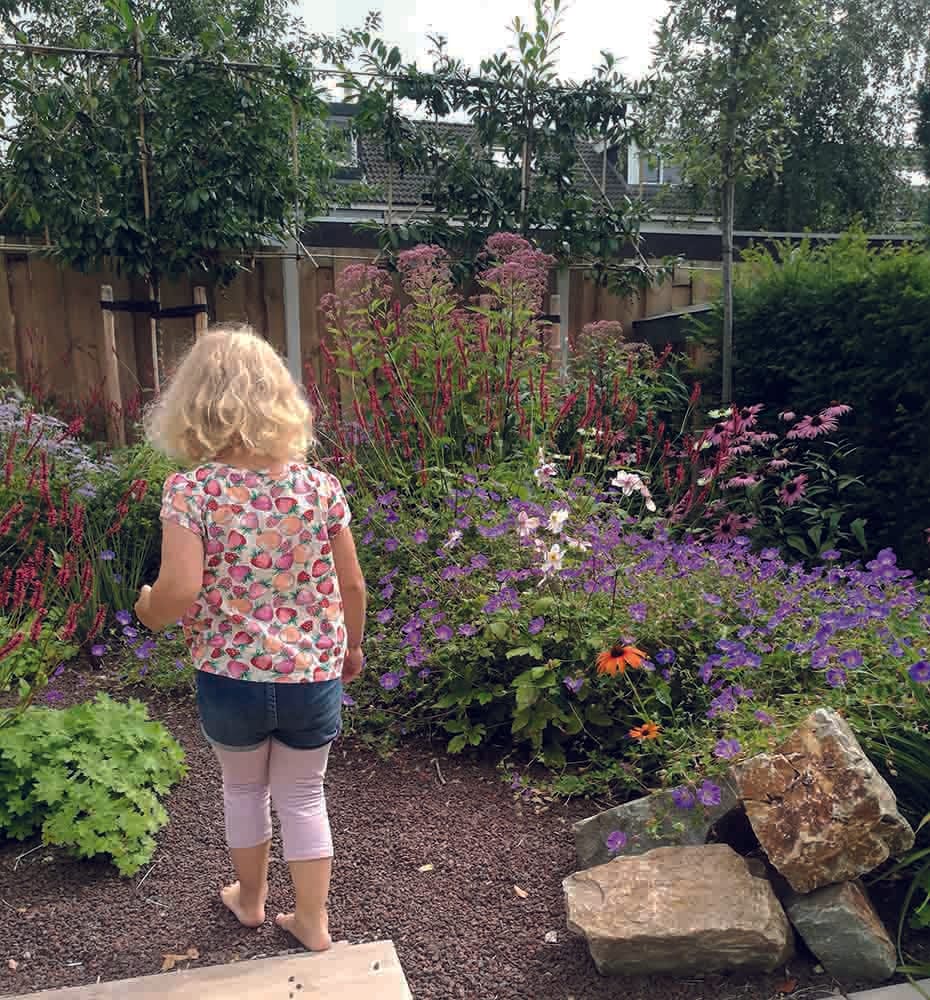 Tuinontwerp Epse (3) Tuinontwerp Epse