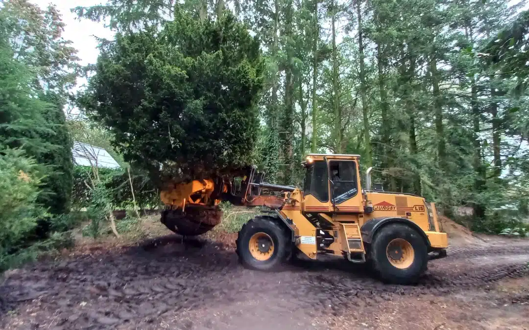 Nieuwe tuin aanleggen